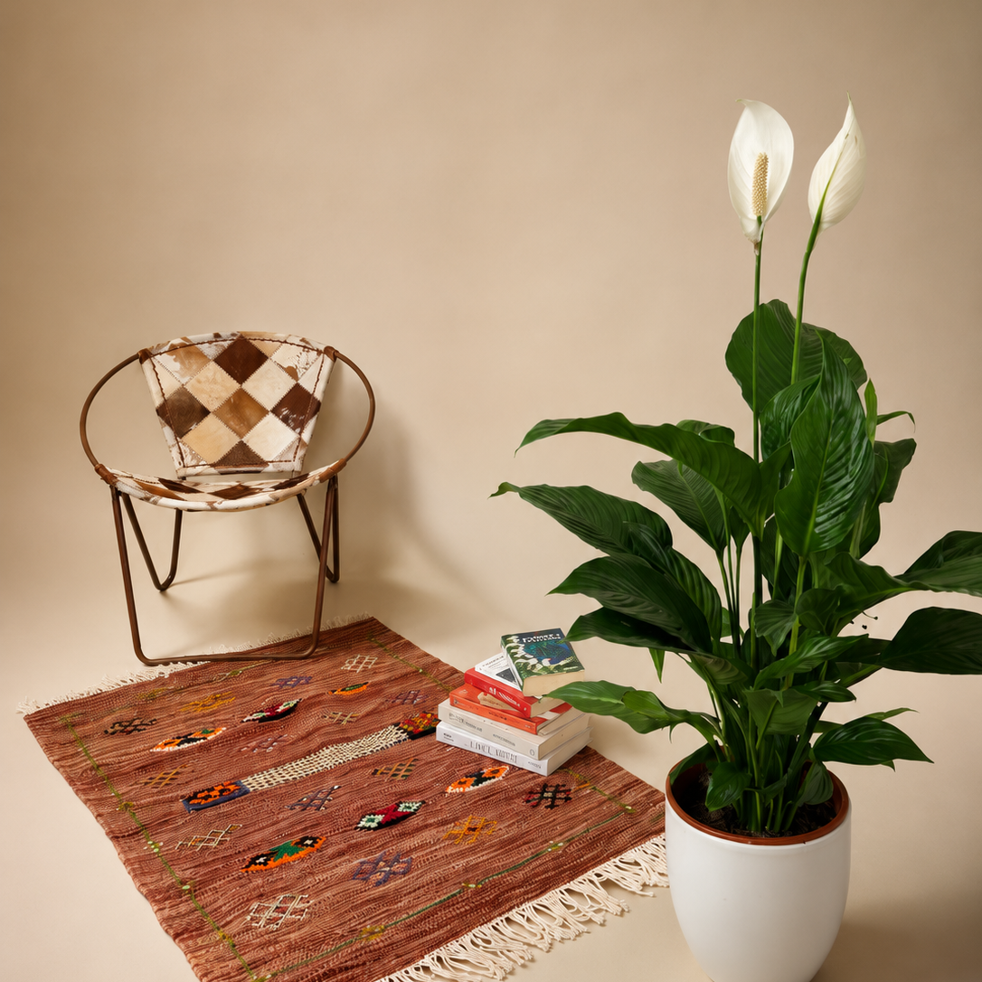 Akhnif Rug - Rosewood